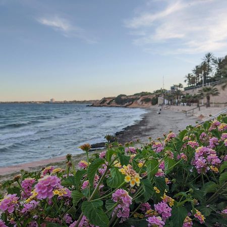 Oasis Beach Apartments 阿利坎特 外观 照片