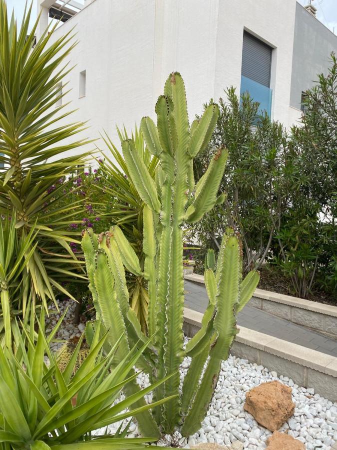Oasis Beach Apartments 阿利坎特 外观 照片