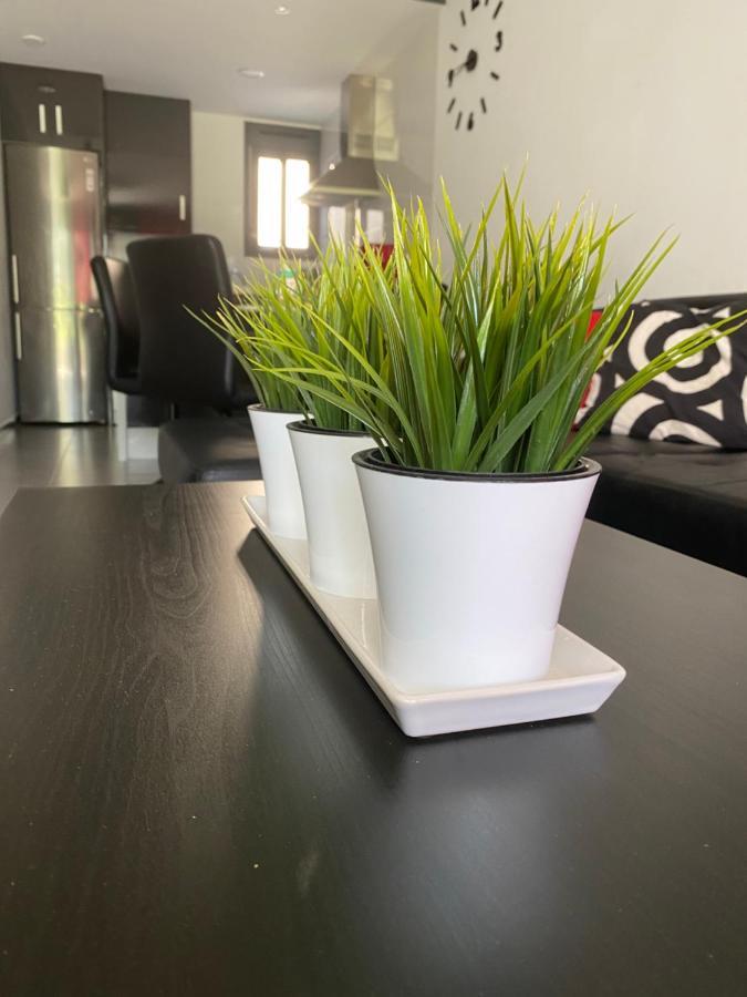 Oasis Beach Apartments 阿利坎特 外观 照片