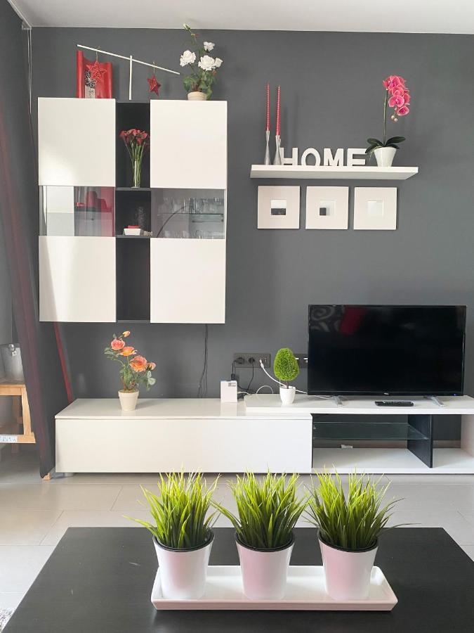 Oasis Beach Apartments 阿利坎特 外观 照片