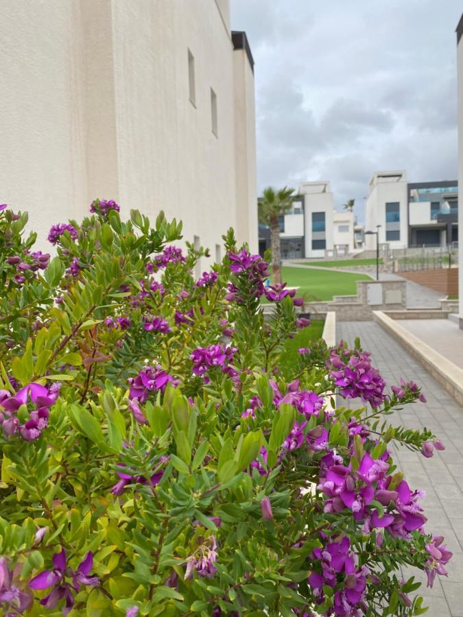 Oasis Beach Apartments 阿利坎特 外观 照片