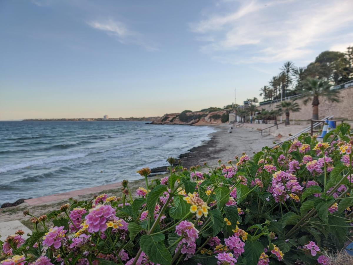 Oasis Beach Apartments 阿利坎特 外观 照片